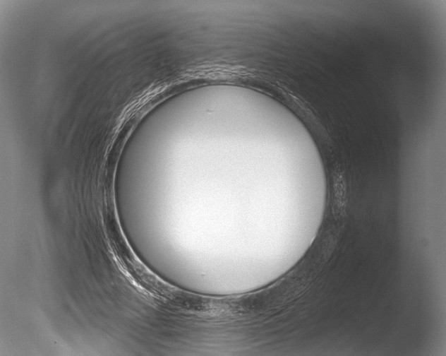 X0000086290682200703300902