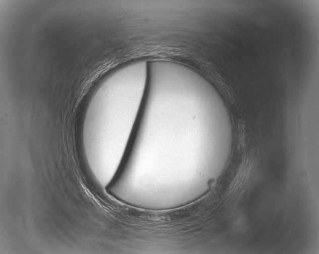 X0000086290683200703300902