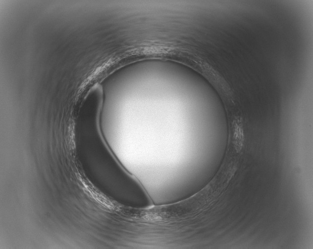 X0000086290684200703300902