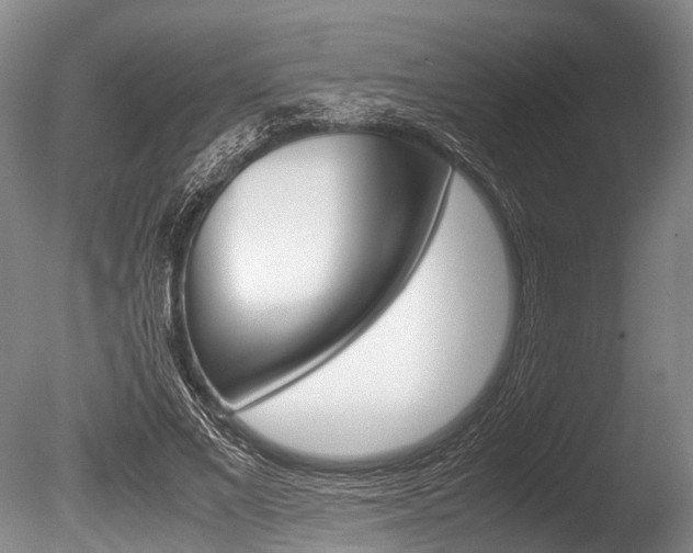 X0000086290685200703300902