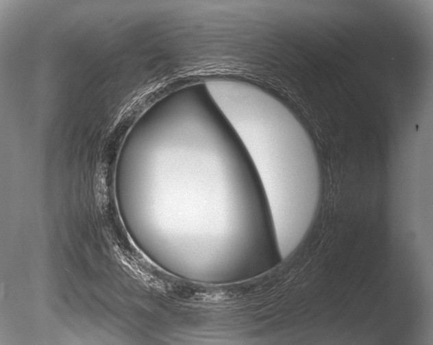 X0000086290688200703300902