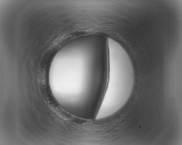 X0000086290689200703300902