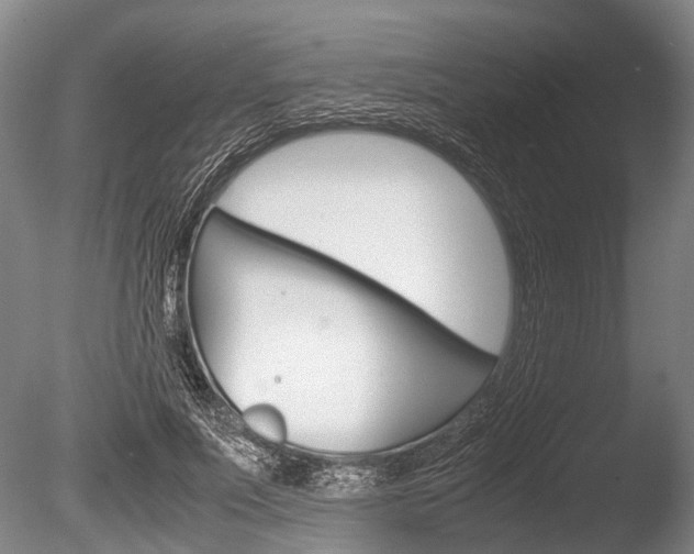 X0000086290691200703300902