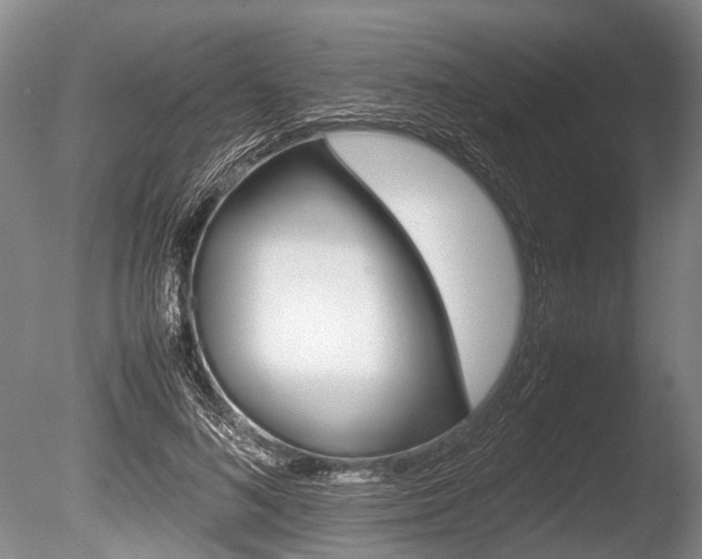X0000086290692200703300902