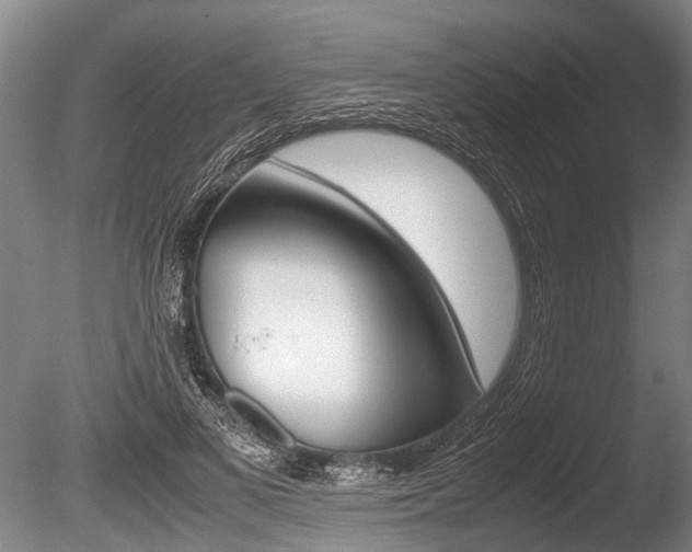 X0000086290693200703300902