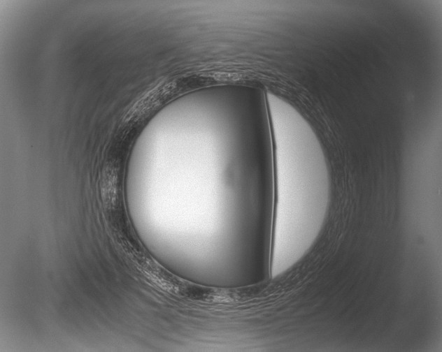 X0000086290697200703300902