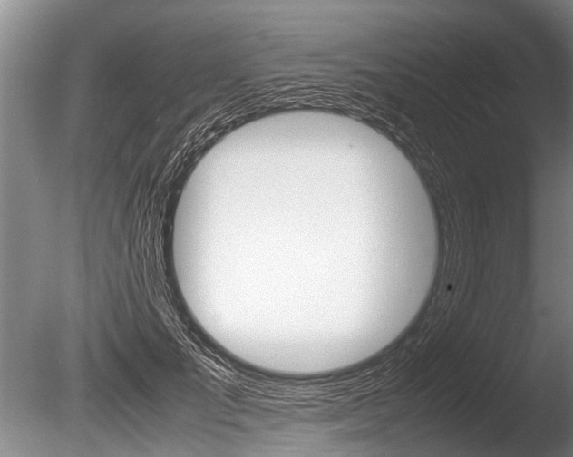 X0000086290701200703300902