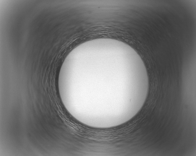 X0000086290705200703300902