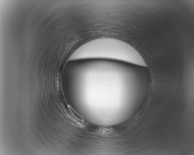 X0000086290716200703300902