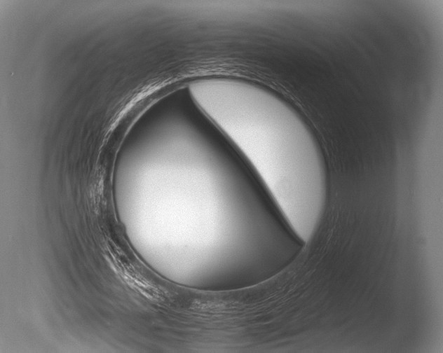 X0000086290723200703300901