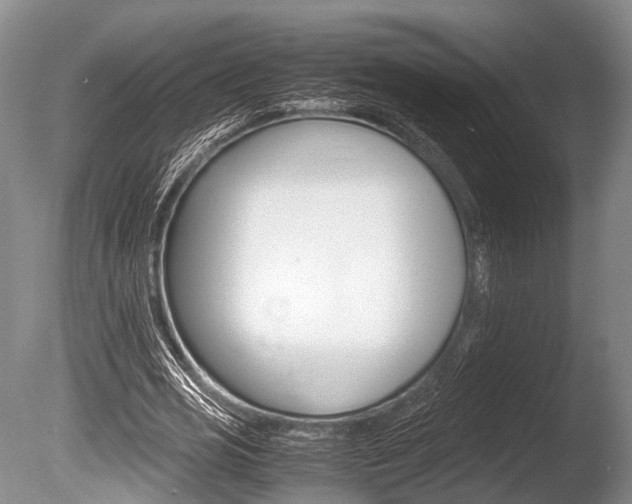 X0000086290725200703300901