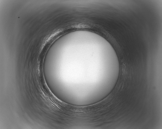 X0000086290727200703300901