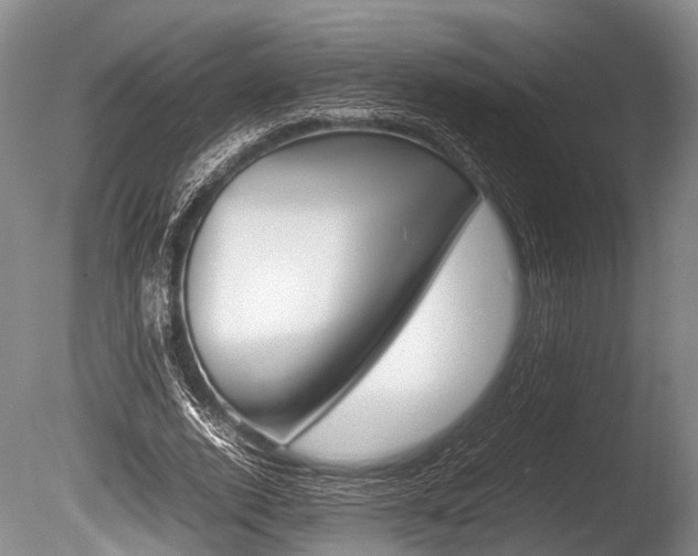 X0000086290728200703300901