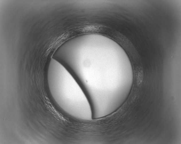 X0000086290729200703300901
