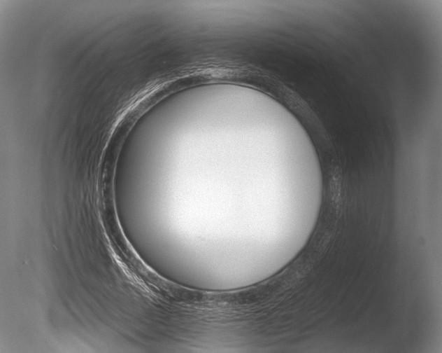 X0000086290730200703300901