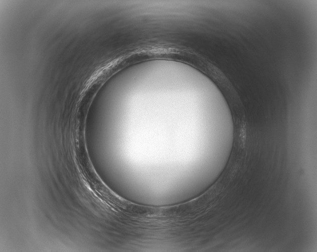 X0000086290732200703300901