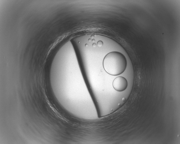 X0000086290734200703300901