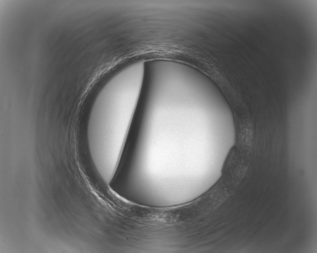 X0000086290736200703300901