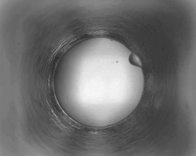 X0000086290739200703300901