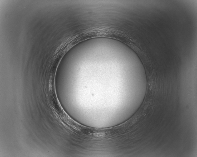 X0000086290740200703300901