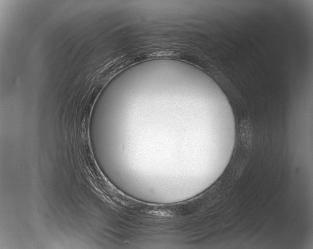 X0000086290741200703300901
