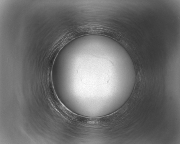 X0000086290744200703300901