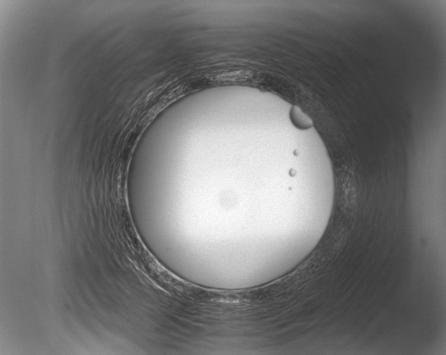 X0000086290745200703300901