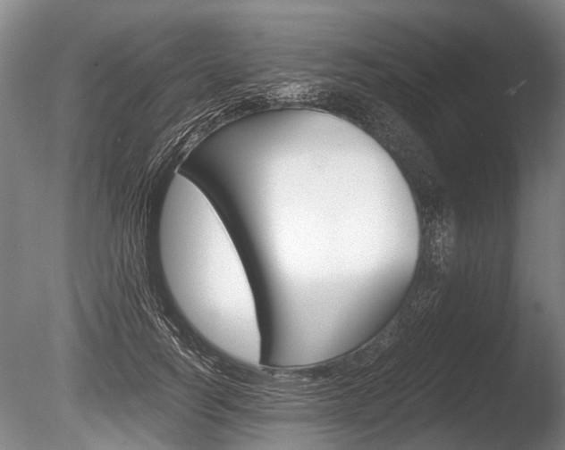 X0000086290746200703300901