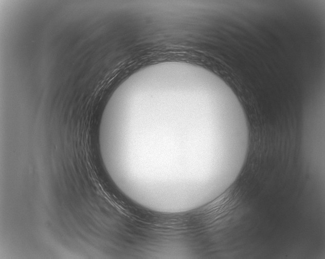 X0000086290750200703300901