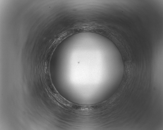 X0000086290752200703300901