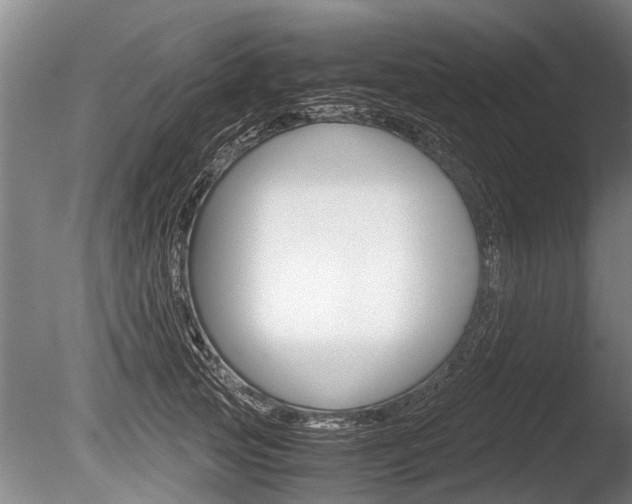 X0000086290753200703300901