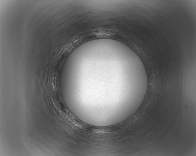 X0000086290755200703300901