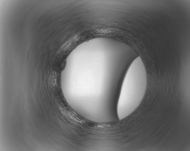 X0000086290758200703300901
