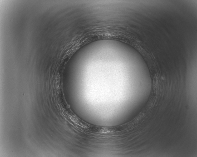 X0000086290760200703300901