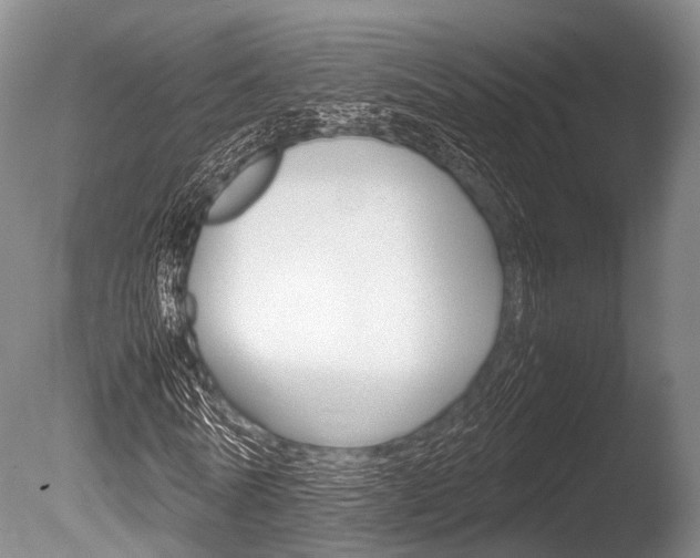 X0000086290770200703300901
