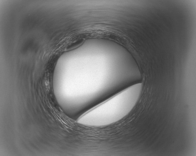 X0000086290771200703300901