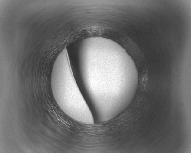 X0000086290772200703300901