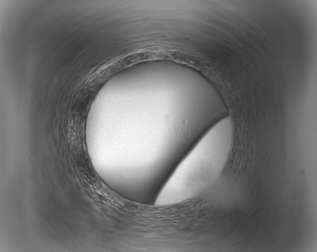 X0000086290773200703300901