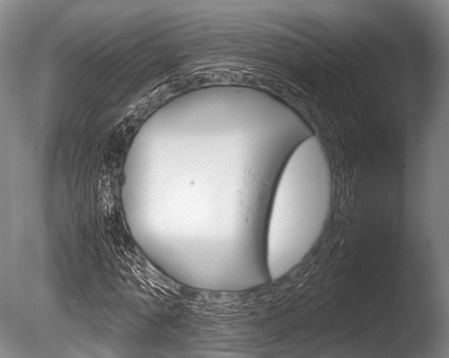 X0000086290774200703300901