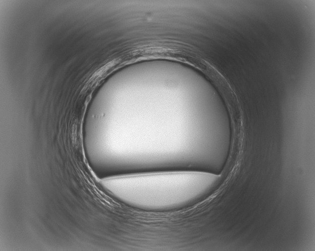 X0000086290777200703300901