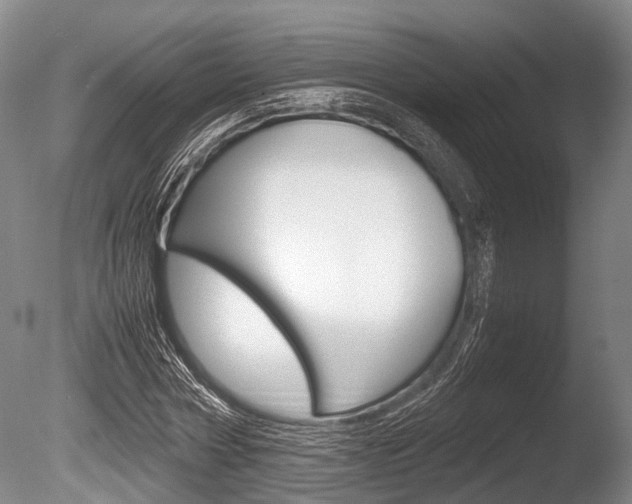 X0000086290778200703300901