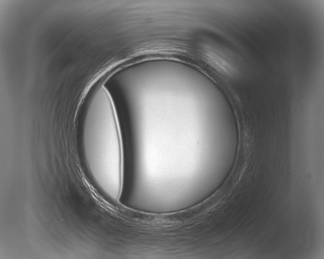X0000086290779200703300901