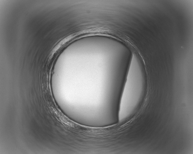 X0000086290781200703300901