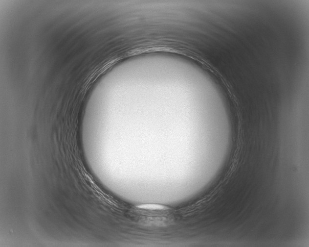 X0000086290785200703300900