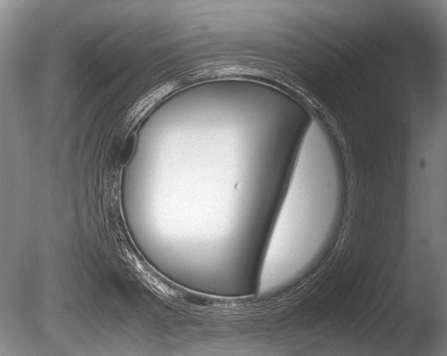 X0000086290793200703300900