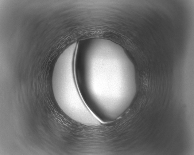 X0000086290818200703300859