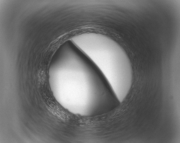 X0000086290821200703300859