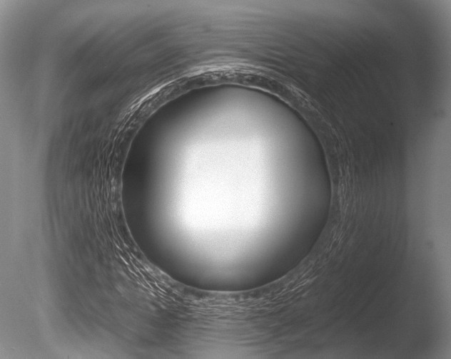 X0000086290822200703300859