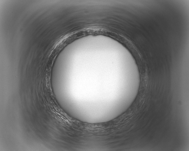 X0000086290823200703300859