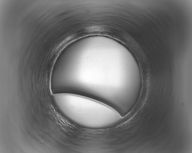 X0000086290825200703300859